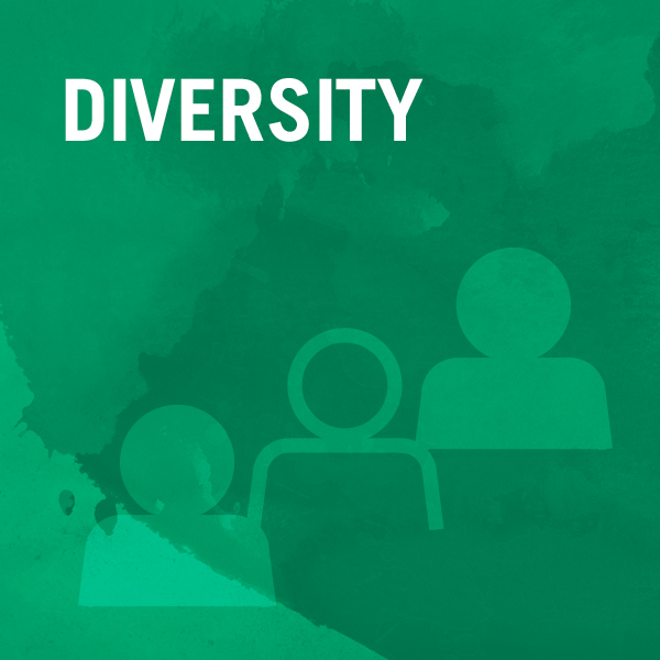 Diversity Graphic