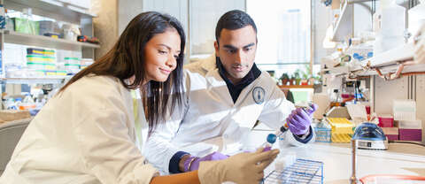 MD/PhD students in lab